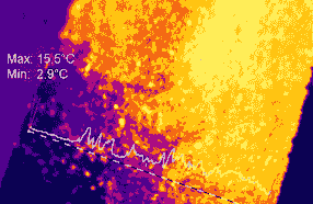 Monitoring coal and biomass with thermal imaging